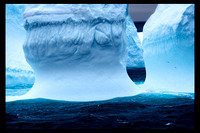 Sculptured 'Berg & Antarctic Petrels